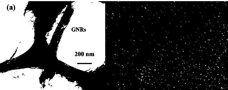 Graphene nanobelt supported palladium monatomic catalyst and preparation method thereof