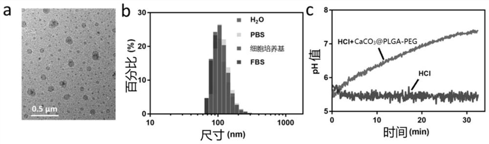 Calcium Carbonate-Based Composite Microparticles and Its Preparation and Application