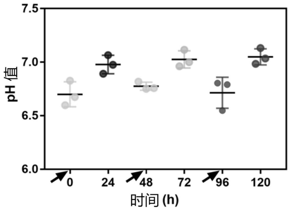 Calcium Carbonate-Based Composite Microparticles and Its Preparation and Application