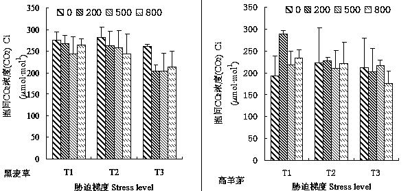 Method for increasing water use efficiency of drought mixed matrix lawn plants by adopting rare-earth cerium