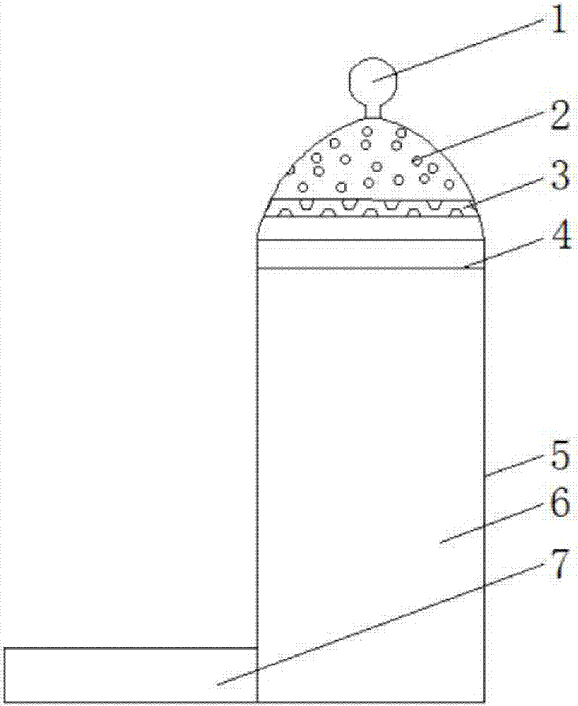 Dendrobium candidum cell culture bottle