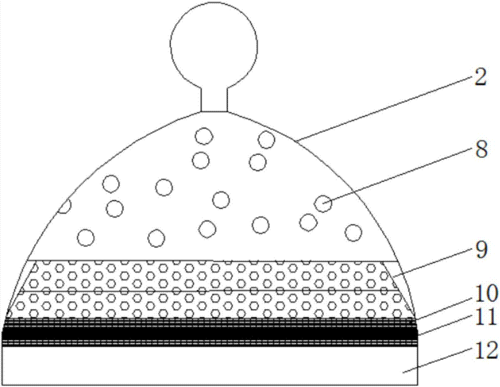 Dendrobium candidum cell culture bottle