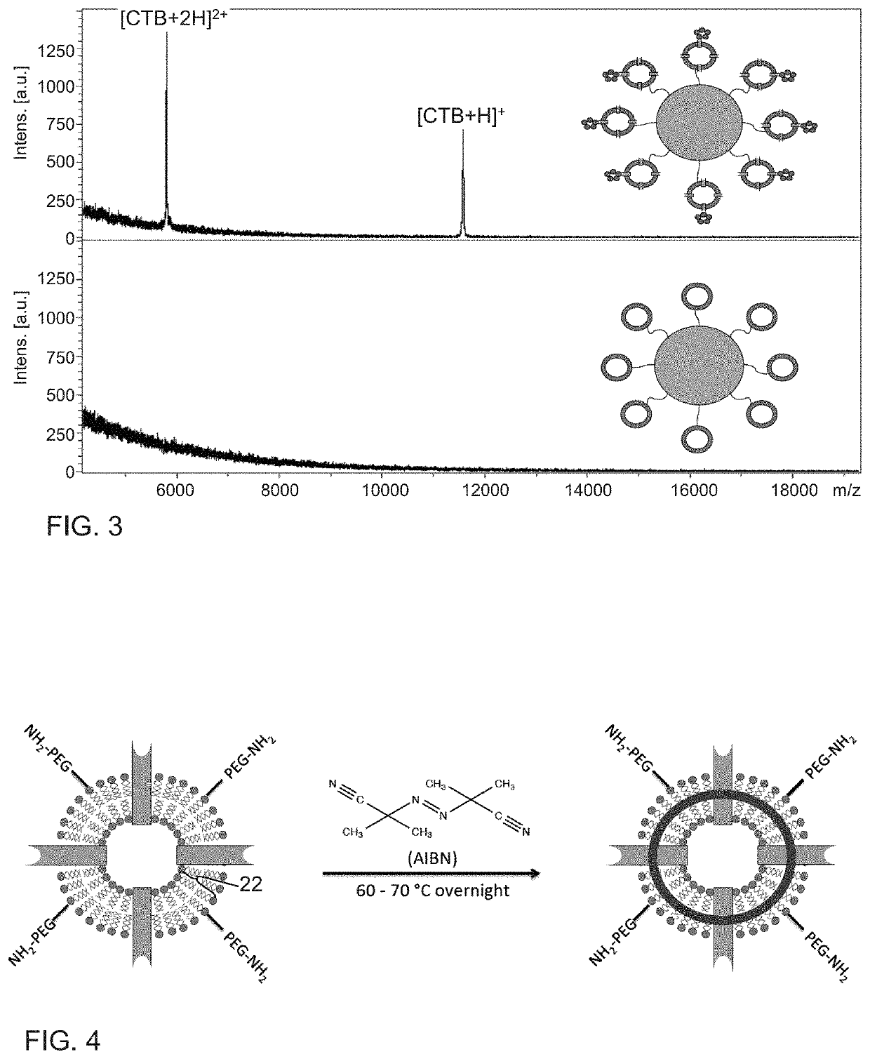 Stabilized vesicle-functionalized microparticles for chemical separations and rapid formation of polymer frits in silica capillaries using spatially-defined thermal polymerization
