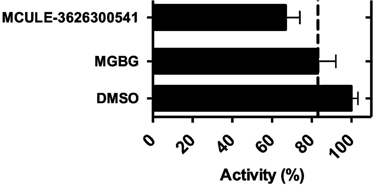 Application and screening method of small molecule covalent inhibitors in the preparation of drugs for inhibiting s-adenosylmethionine decarboxylase