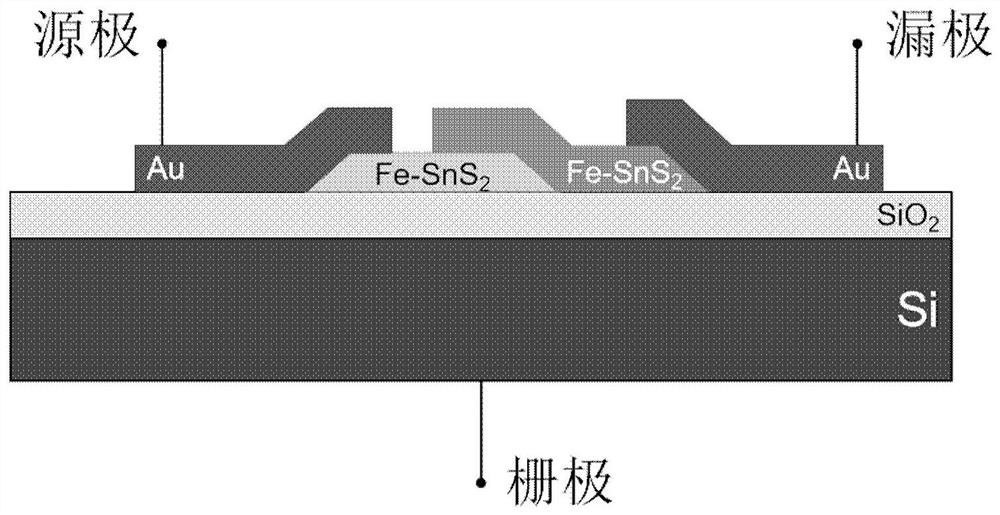 Homojunction magnetoresistive device of magnetic two-dimensional semiconductor, preparation method and application thereof