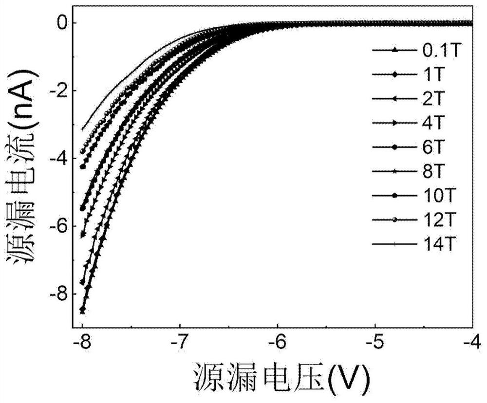 Homojunction magnetoresistive device of magnetic two-dimensional semiconductor, preparation method and application thereof