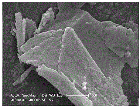 Preparation method of nanometer cobalt oxide/graphene composite material