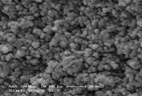 Method for quickly preparing carbon-silicon dioxide composite aerogel