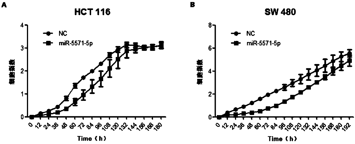 Application of miRNA-5571 in preparation of drugs for resisting colorectal tumor