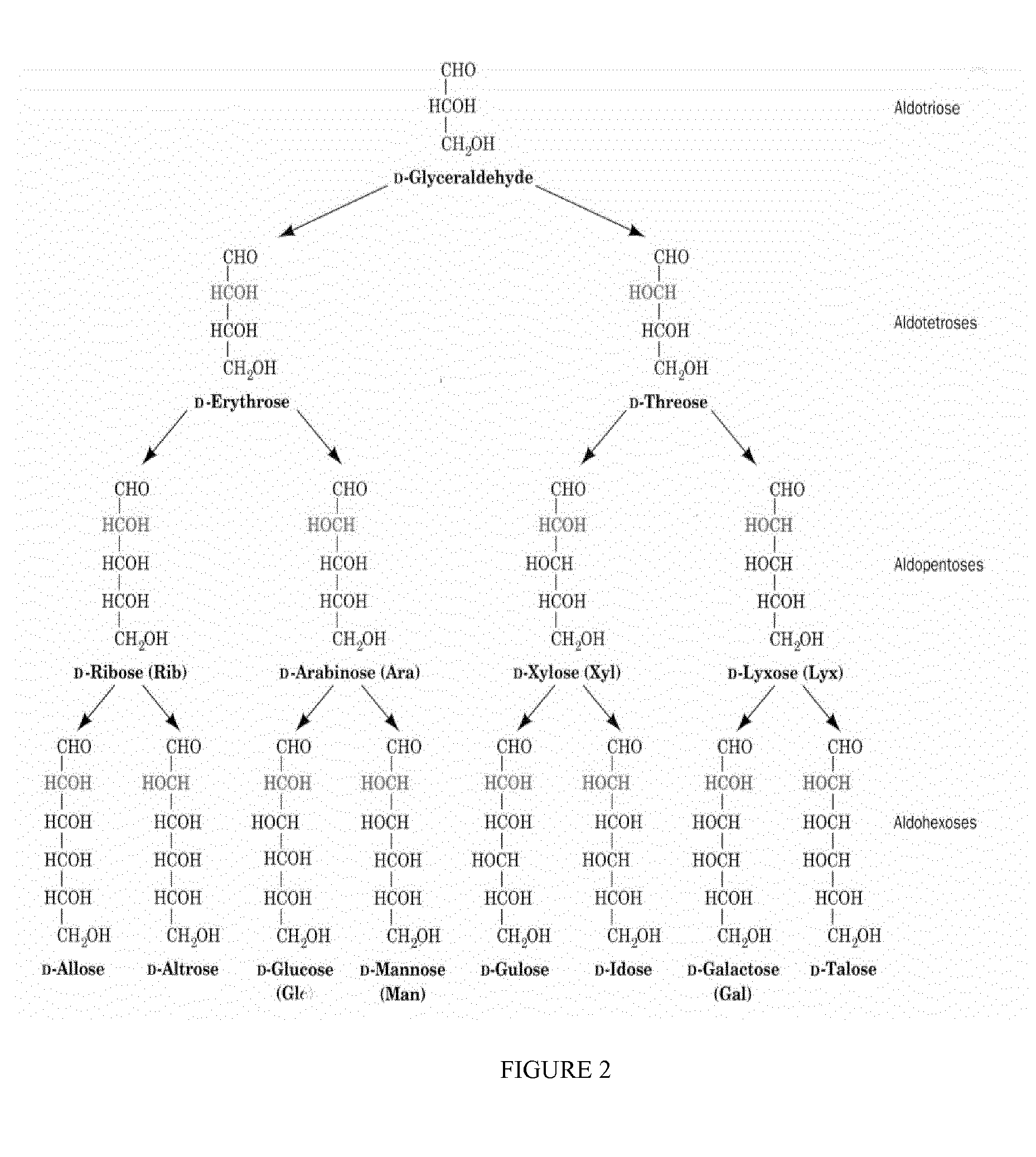 Isomerisation of c4-c6 aldoses with zeolites