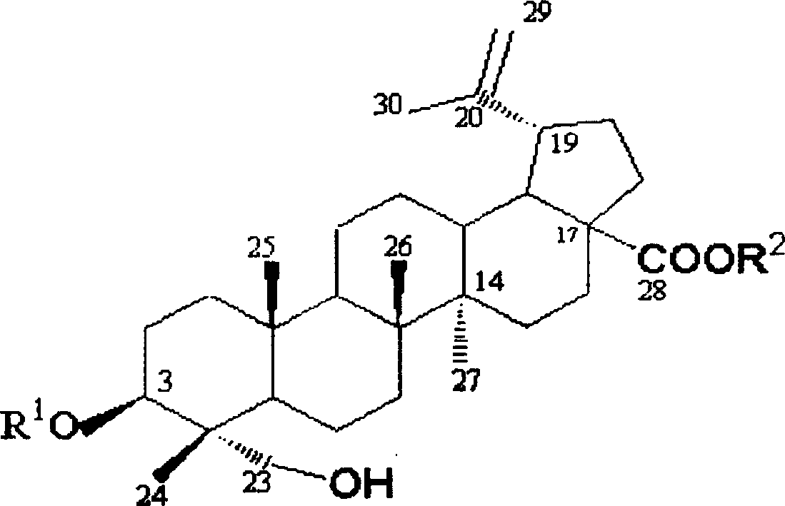 Method for preparing hypoglycosyl anemonic saponin by encyme method hydrolyzing anemonic saponin glycosyl