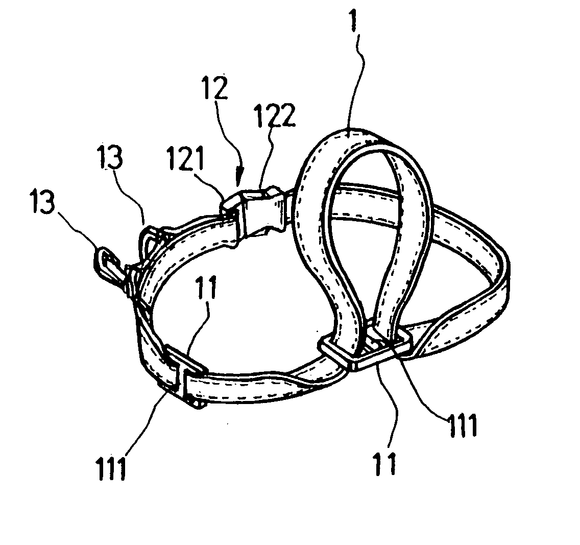 Functional dog muzzle strap structure