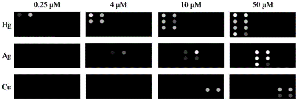 Array sensor for detecting heavy metal ions and its preparation method and application