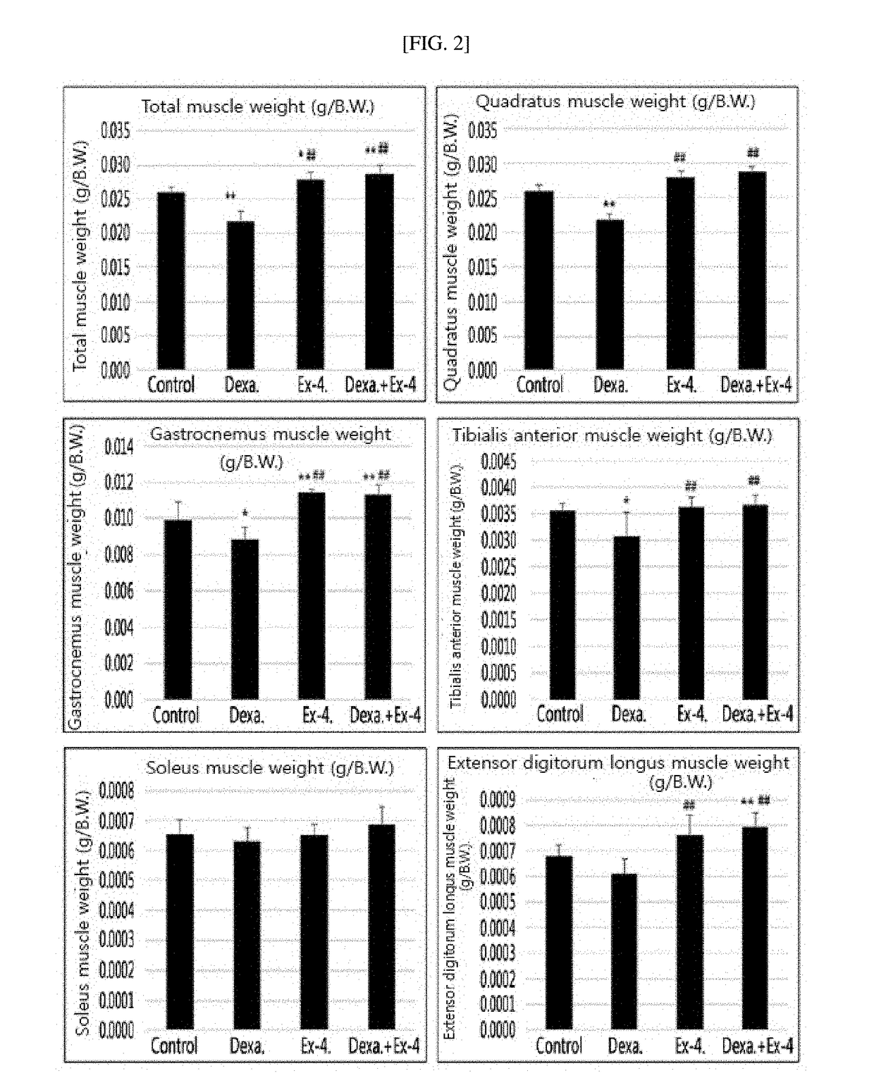 Pharmaceutical composition for treating muscle atrophy or sarcopenia including glucagon-like peptide (glp-1) or glp-1 receptor agonist