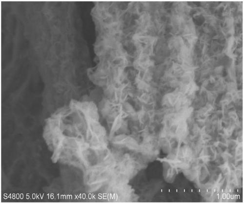 One-dimensional basic cobalt carbonate@two-dimensional CoSe/NF heterostructure composite material and preparation method and application thereof