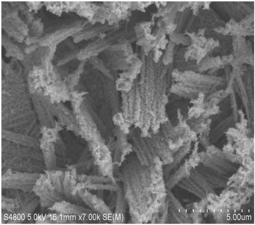 One-dimensional basic cobalt carbonate@two-dimensional CoSe/NF heterostructure composite material and preparation method and application thereof