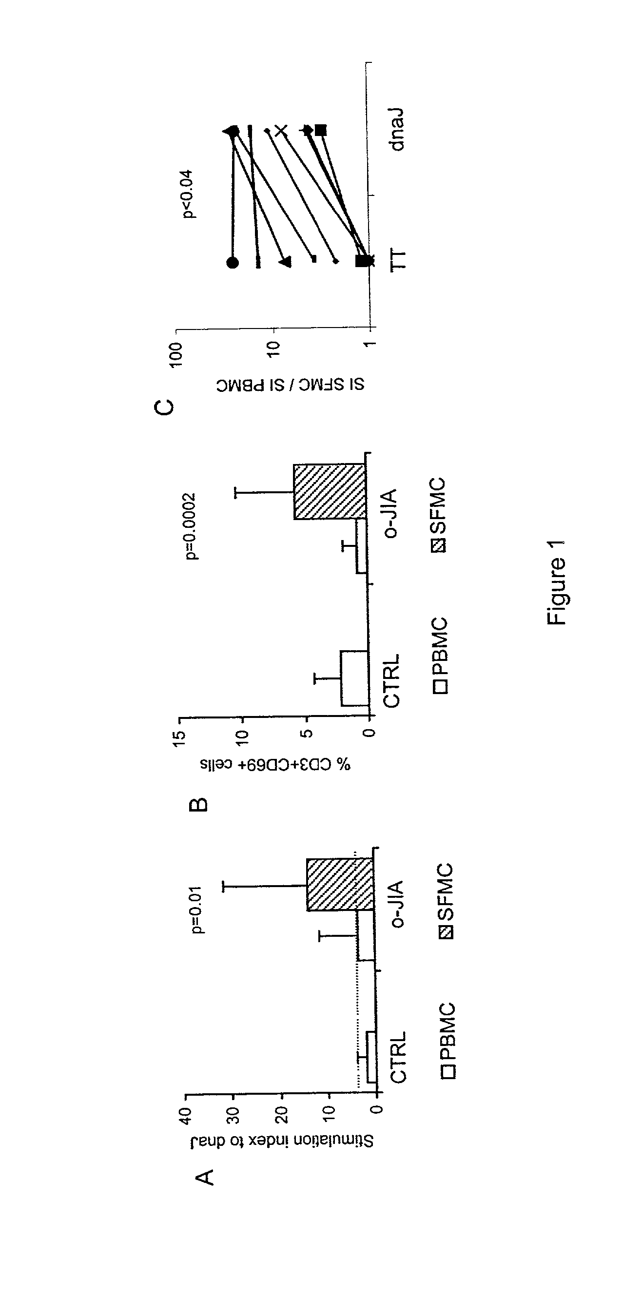 Immunomodulatory peptides derived from heat shock proteins and uses thereof