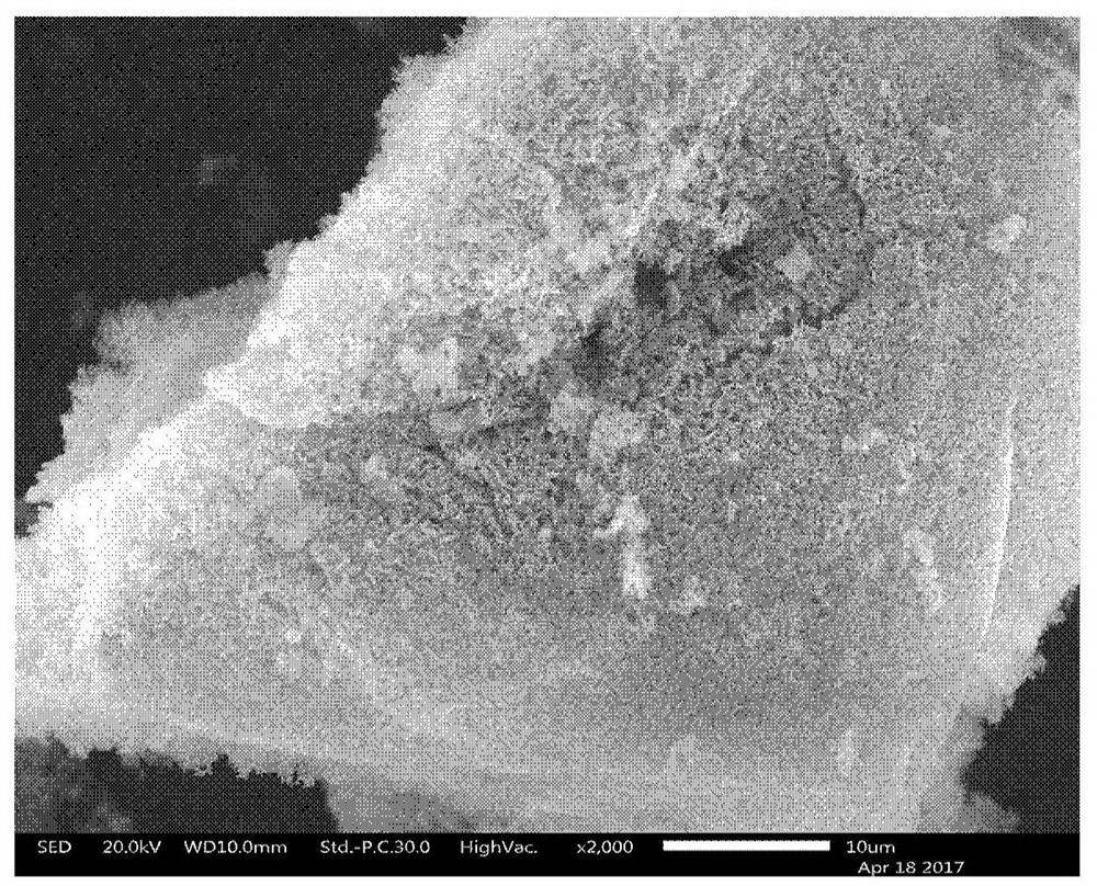 Sponge silicon powder and its preparation method and lithium ion battery