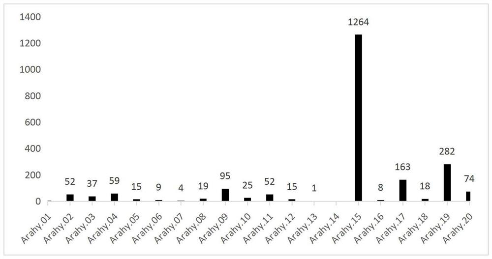 Molecular marker AhyWptc closely linked with white seed coat of peanut and application of molecular marker AhyWptc