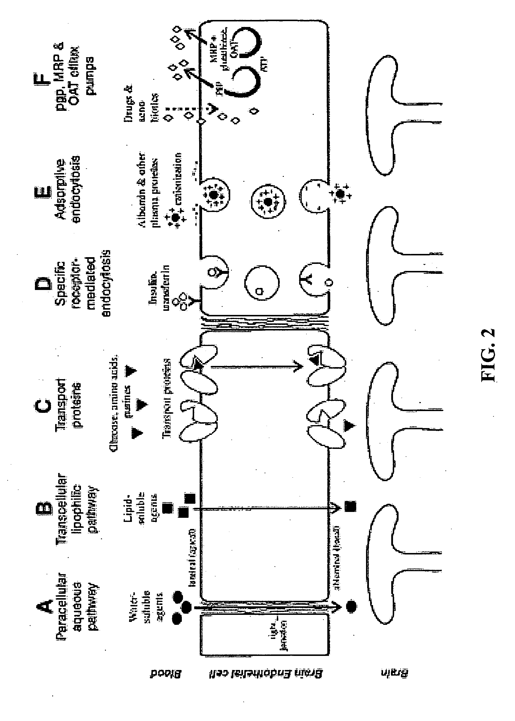 Methods and compositions for therapeutic treatment