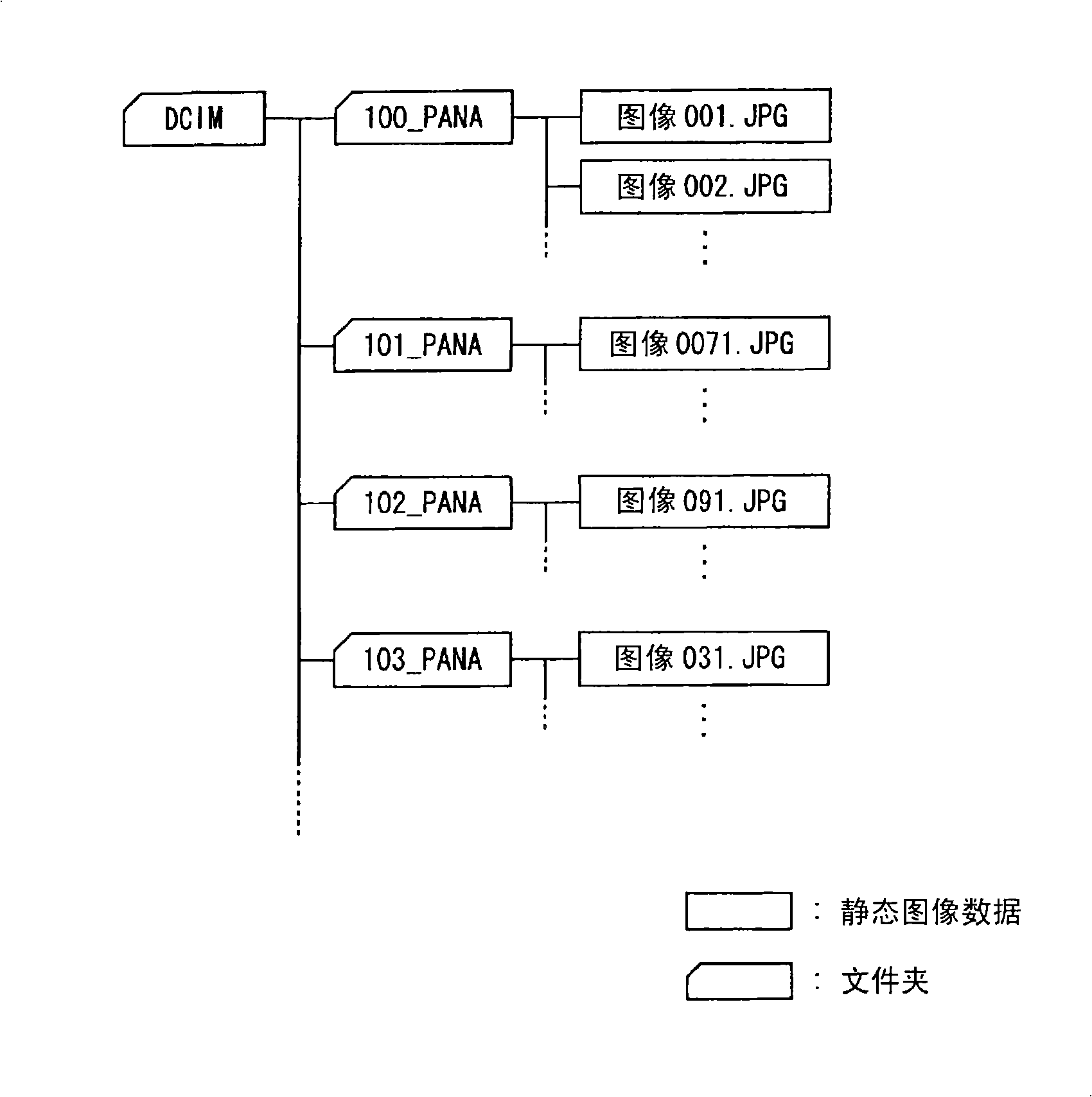 Viewer device, slide show display method in viewer device, and program