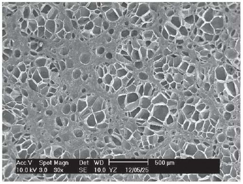 A high-melt strength impact-resistant polypropylene foam material and its preparation method