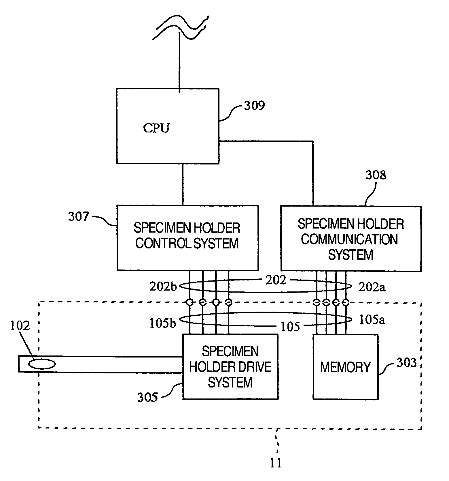 Charged particle beam apparatus and specimen holder