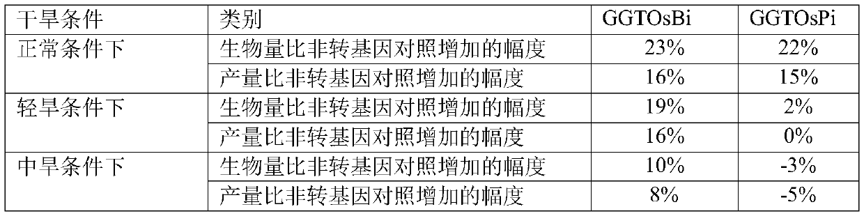 Method for improving photosynthetic efficiency of plants