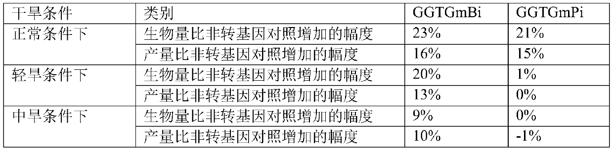 Method for improving photosynthetic efficiency of plants