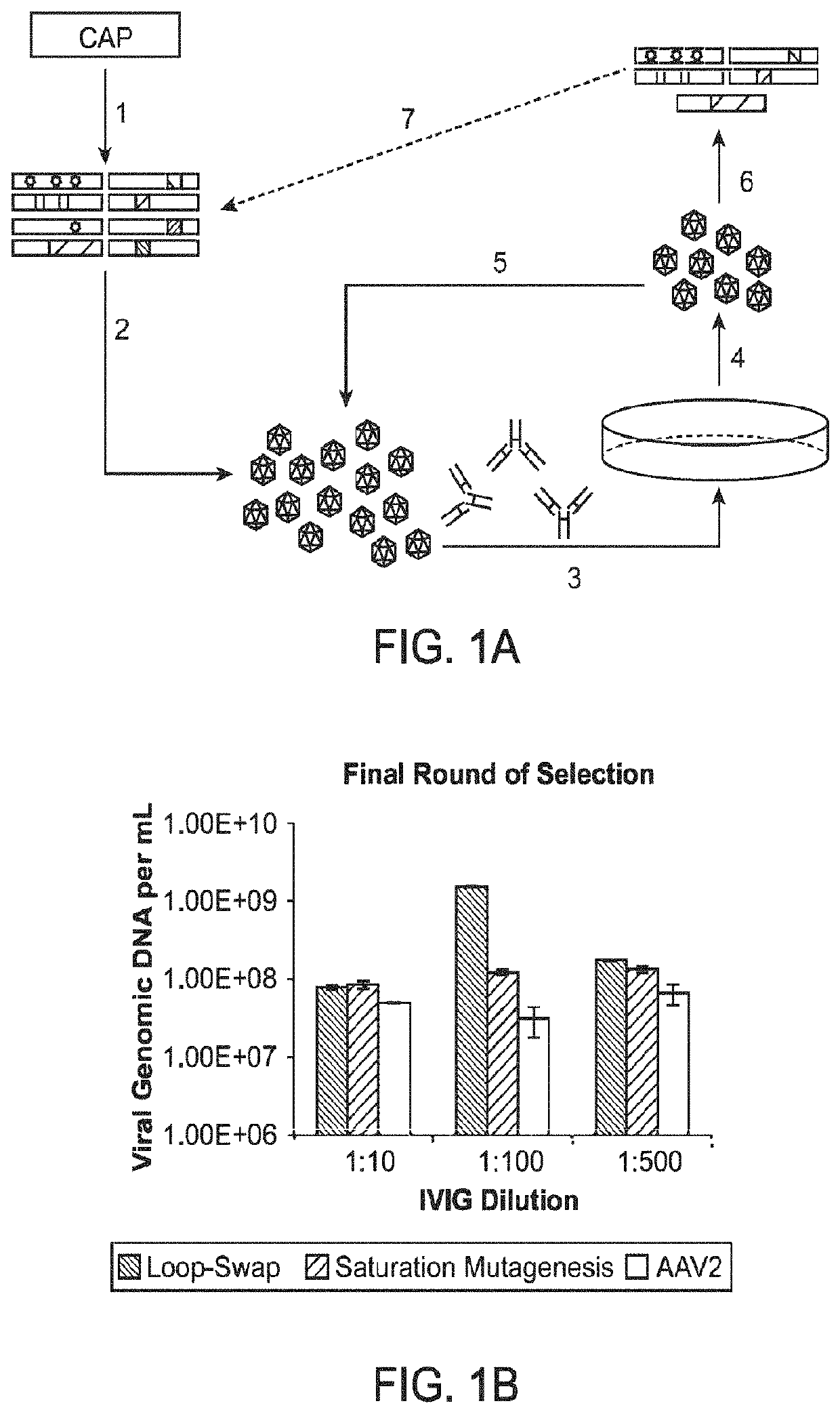Adeno-associated variants, formulations and methods for pulmonary delivery