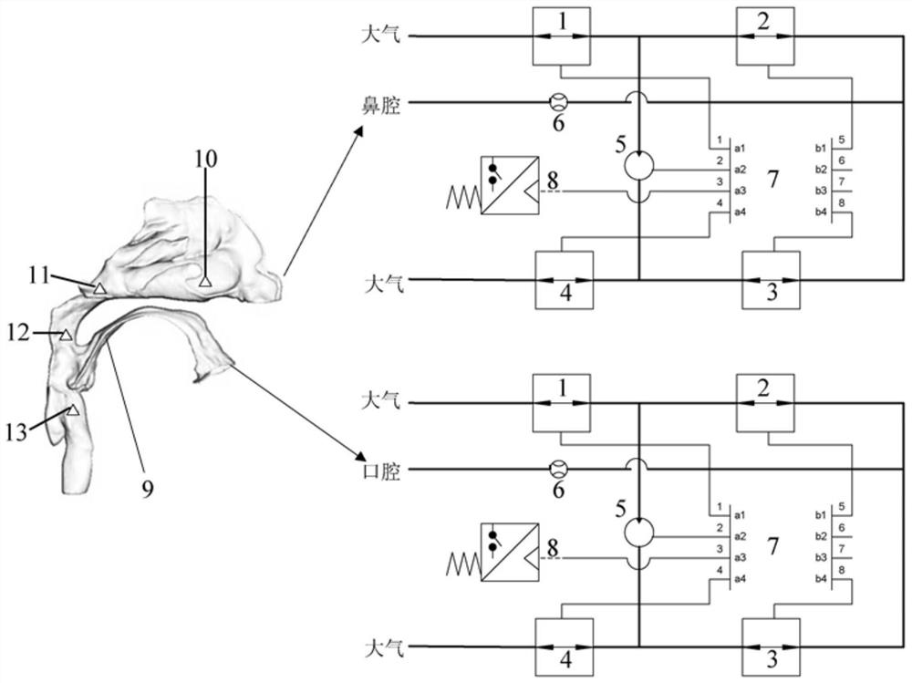 Human body breathing simulation device and simulation method