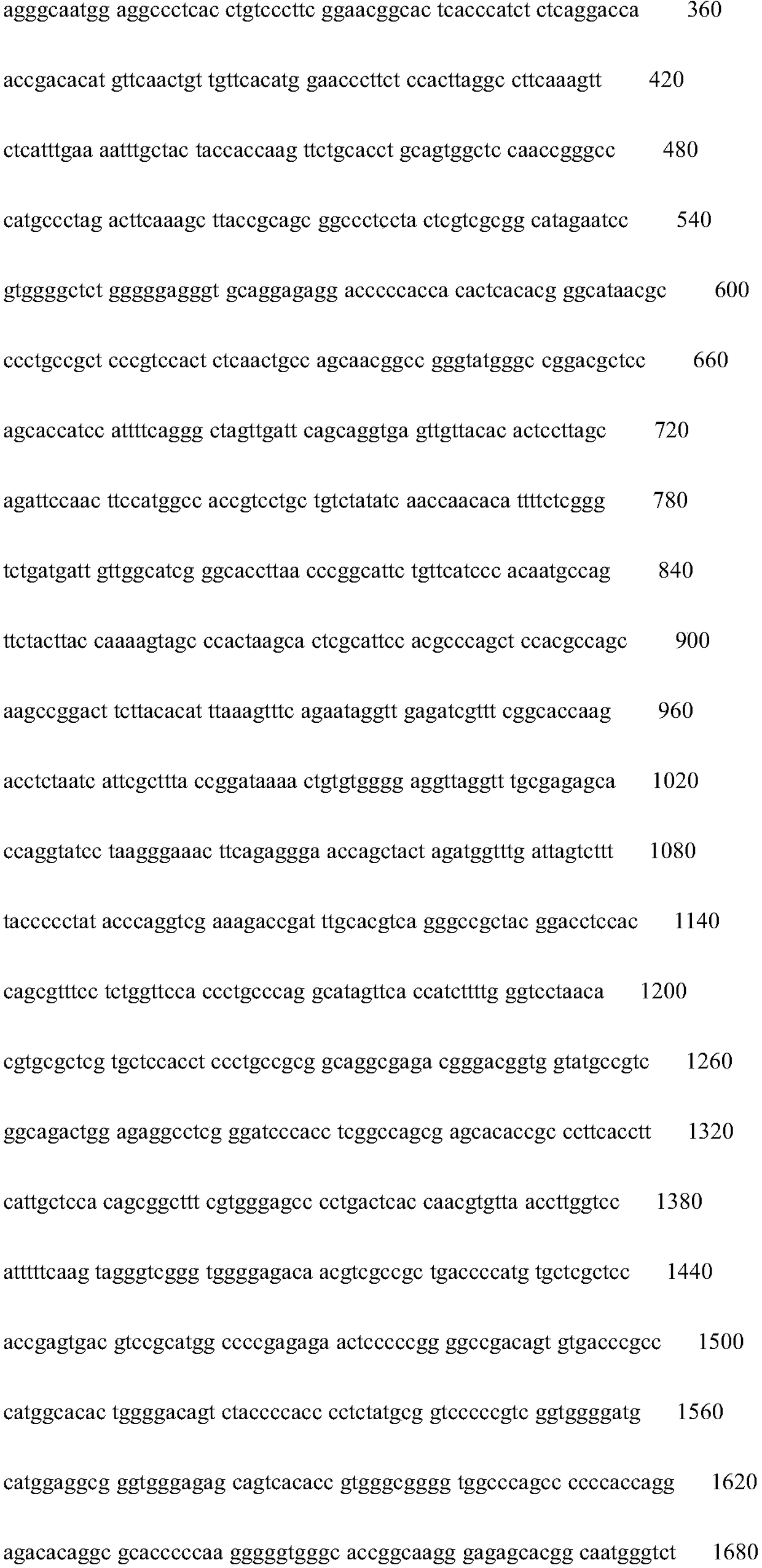 A method for displaying the centromere and short arm of large yellow croaker