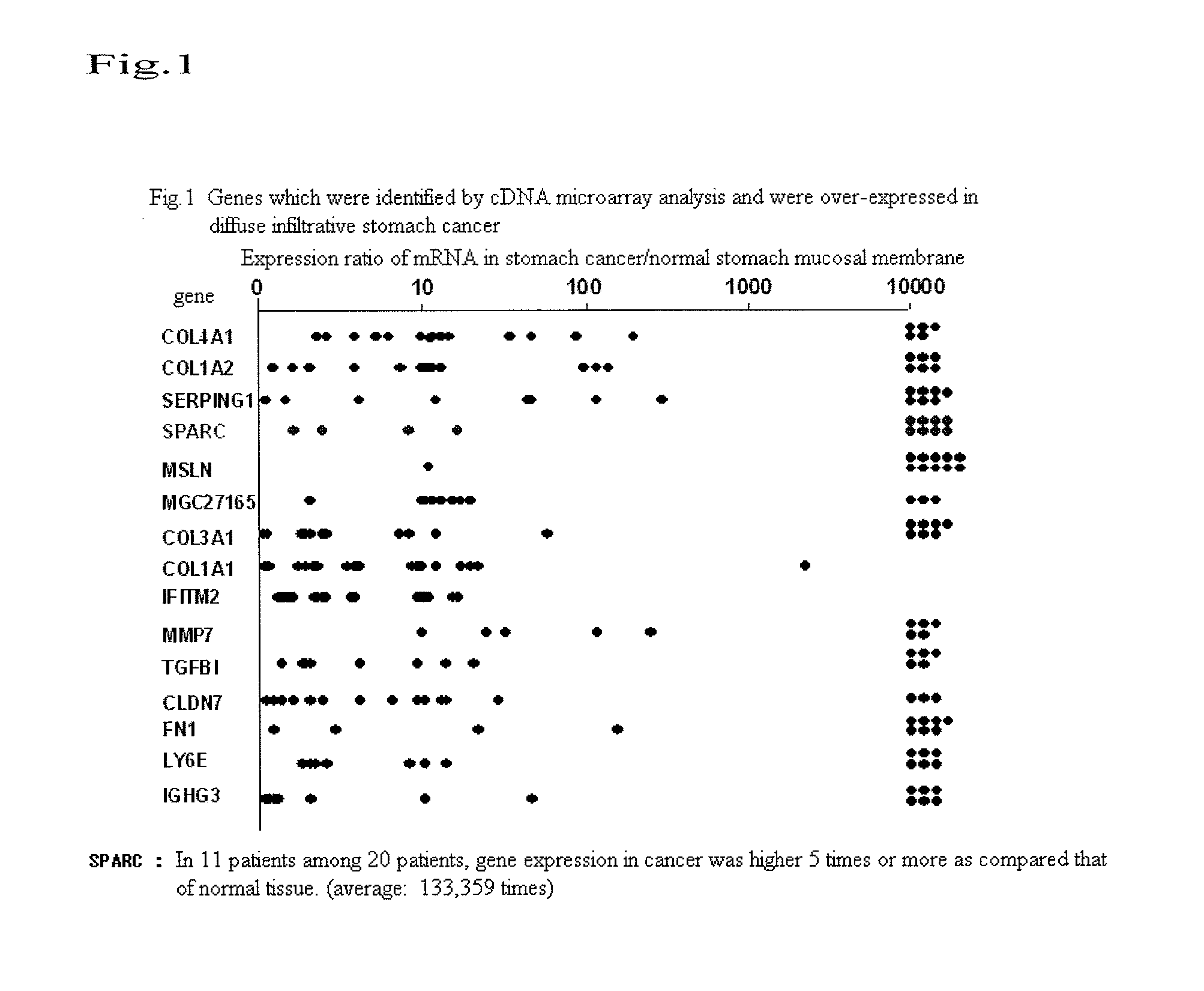 Sparc-derived tumor rejection antigenic peptides and medicaments comprising the same