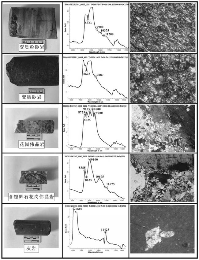 Method for identifying spodumene-containing pegmatite through thermal infrared spectrum and application of thermal infrared spectrum