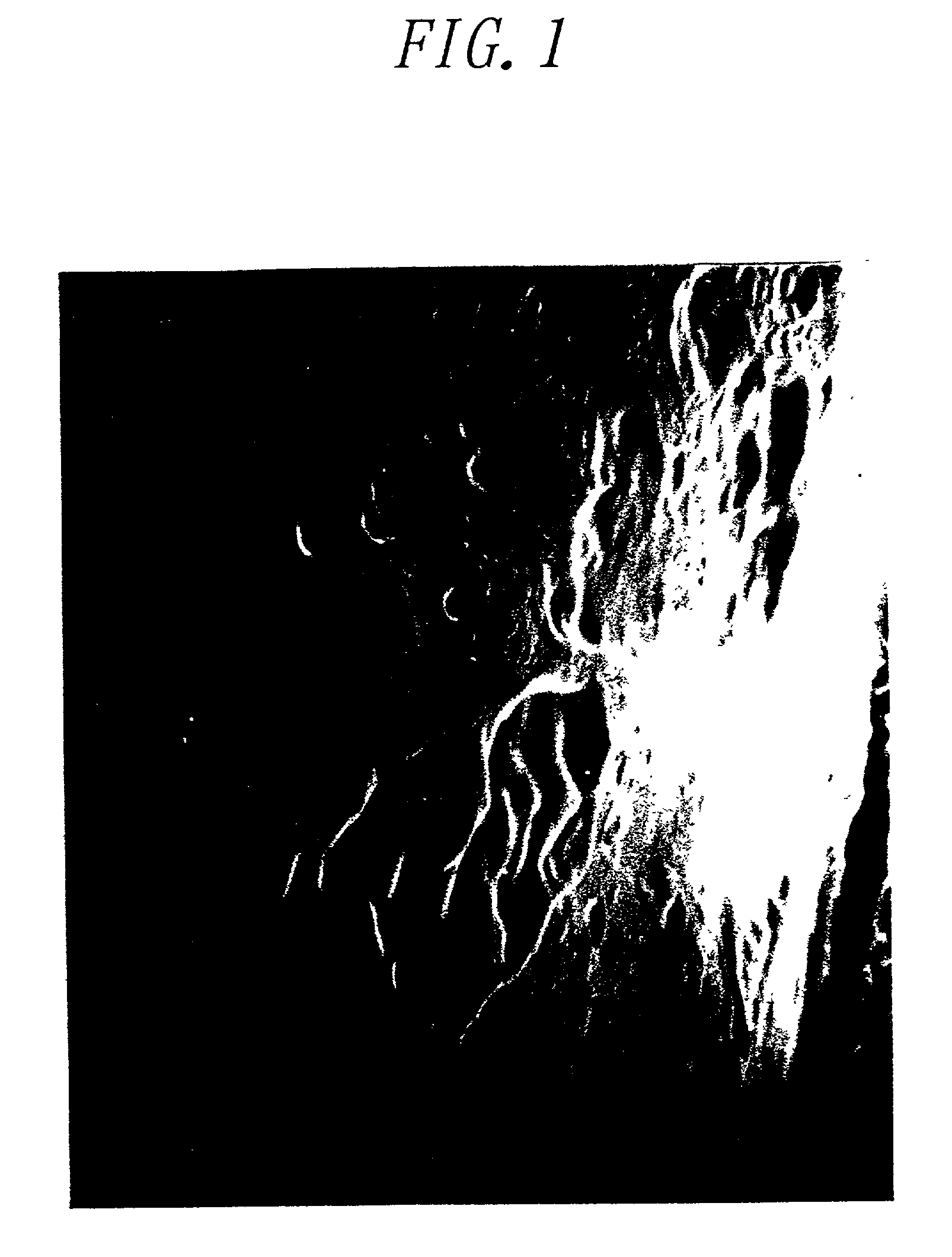 Method for decomposing polyesters containing aromatic moieties, a denier reduction method of fiber, and microorganism having activity of decomposing the polyester