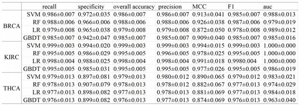 Cancer classification method based on miRNAs expression profile and natural language model