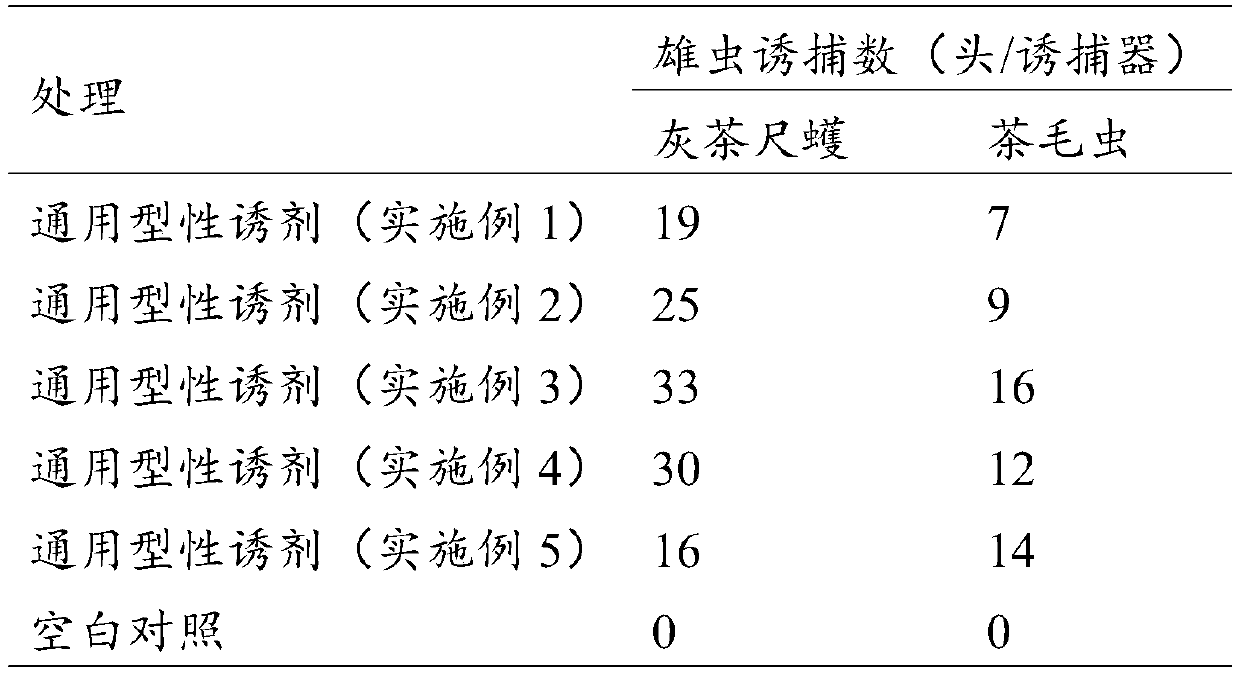 Universal sex pheromone composition, sex attractant for Ectropis grisescens and Euproctis pseudoconspersa as well as preparation method and application of sex attractant