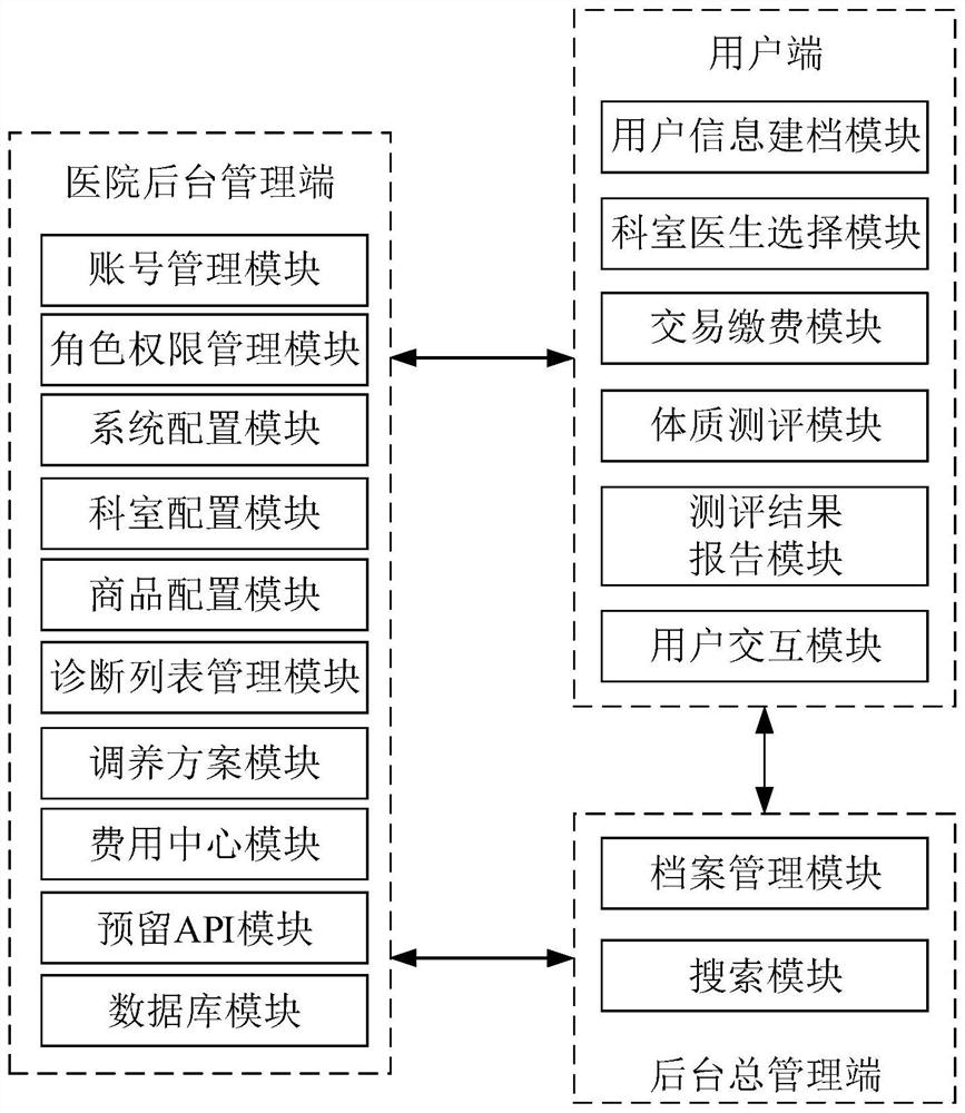 Internet-based physique identification diagnosis and treatment management system and method