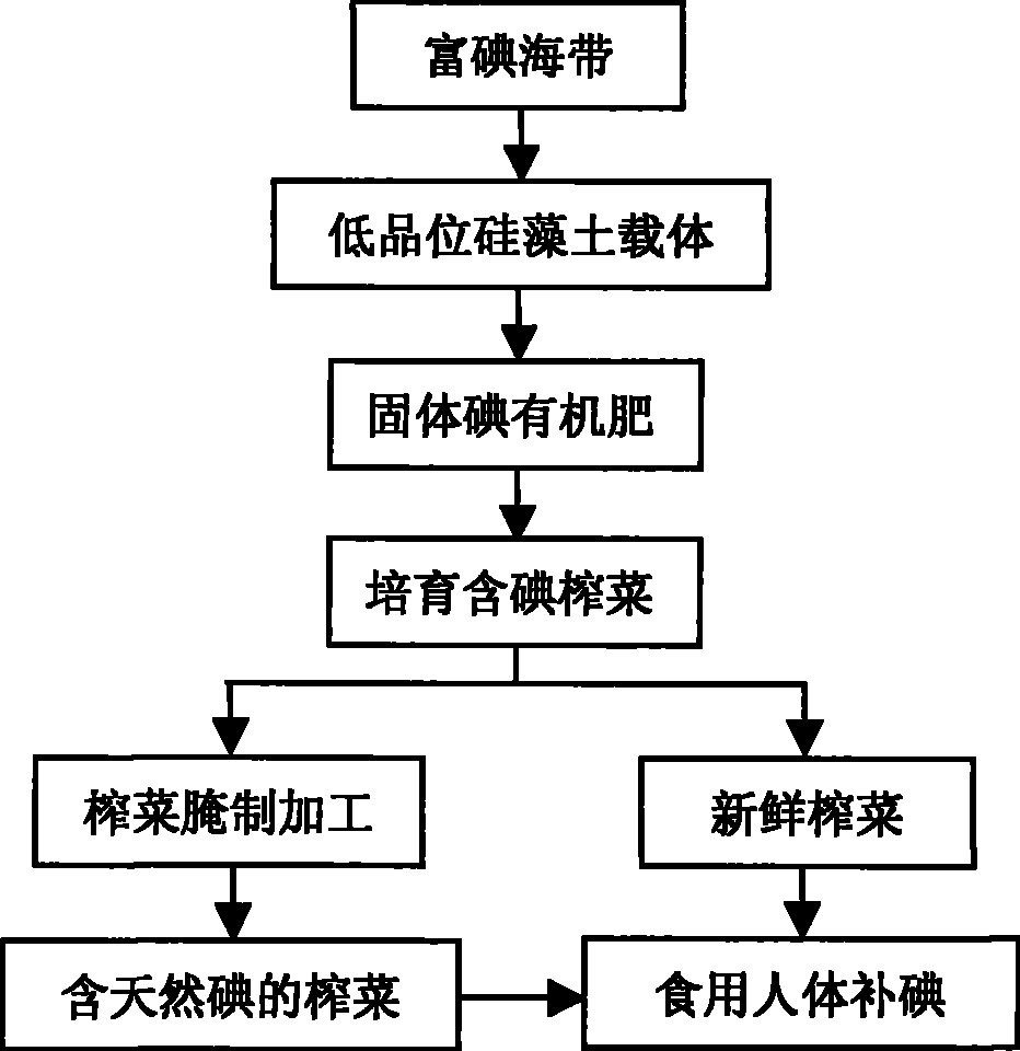 Method of salting and processing preserved szechuan pickle containing natural iodine