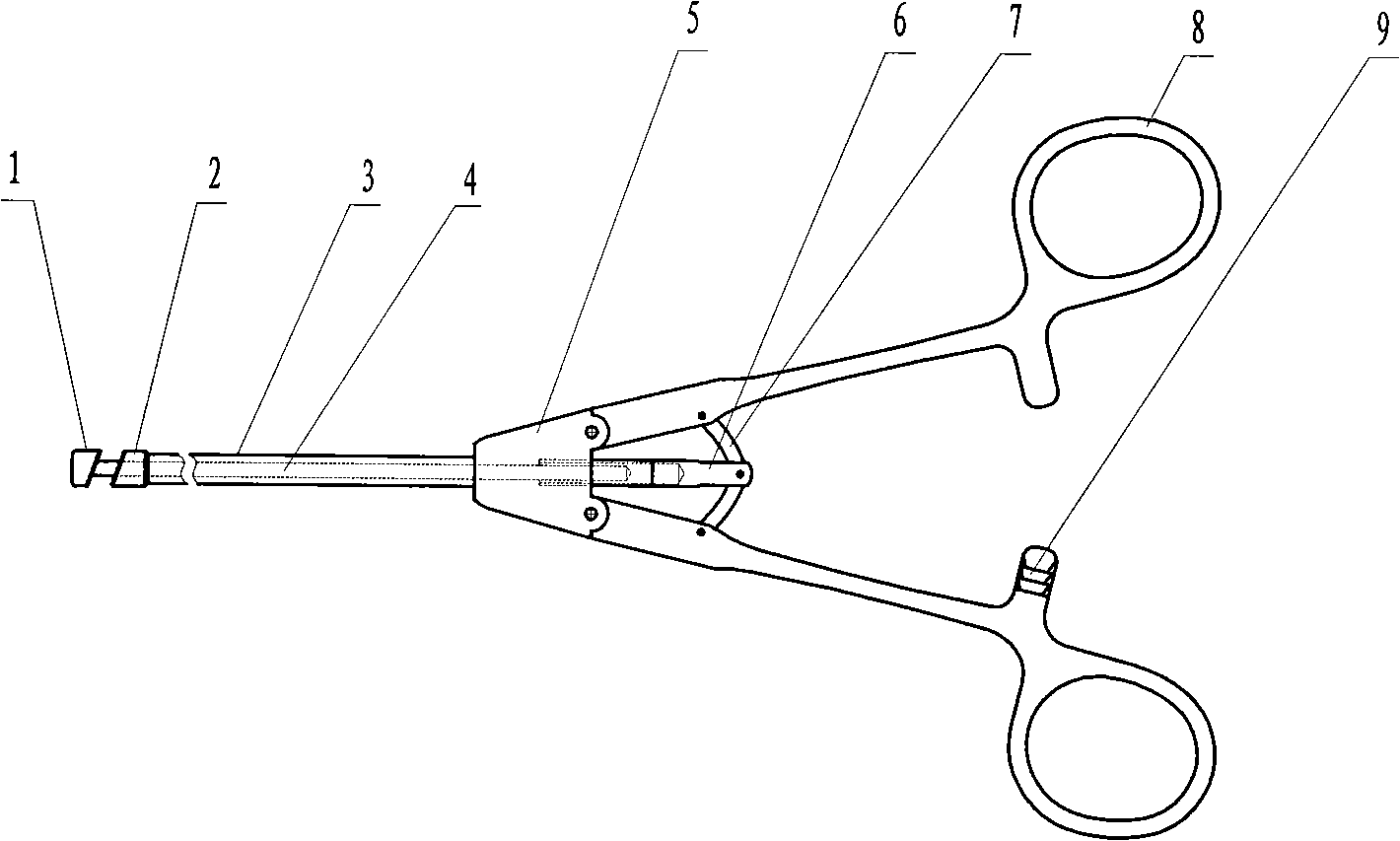 Fixed angle type needle holder