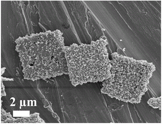 A nanoparticle self-assembled tetragonal perovskite phase Pbtio  <sub>3</sub> Preparation method of microsheets