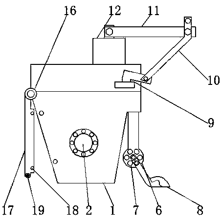 Soil loosening device for agricultural production