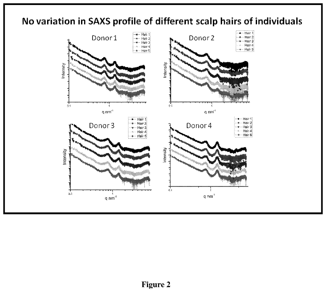 In vitro method for detecting active mycobacterium tuberculosis using hair small angle x-ray scattering profile