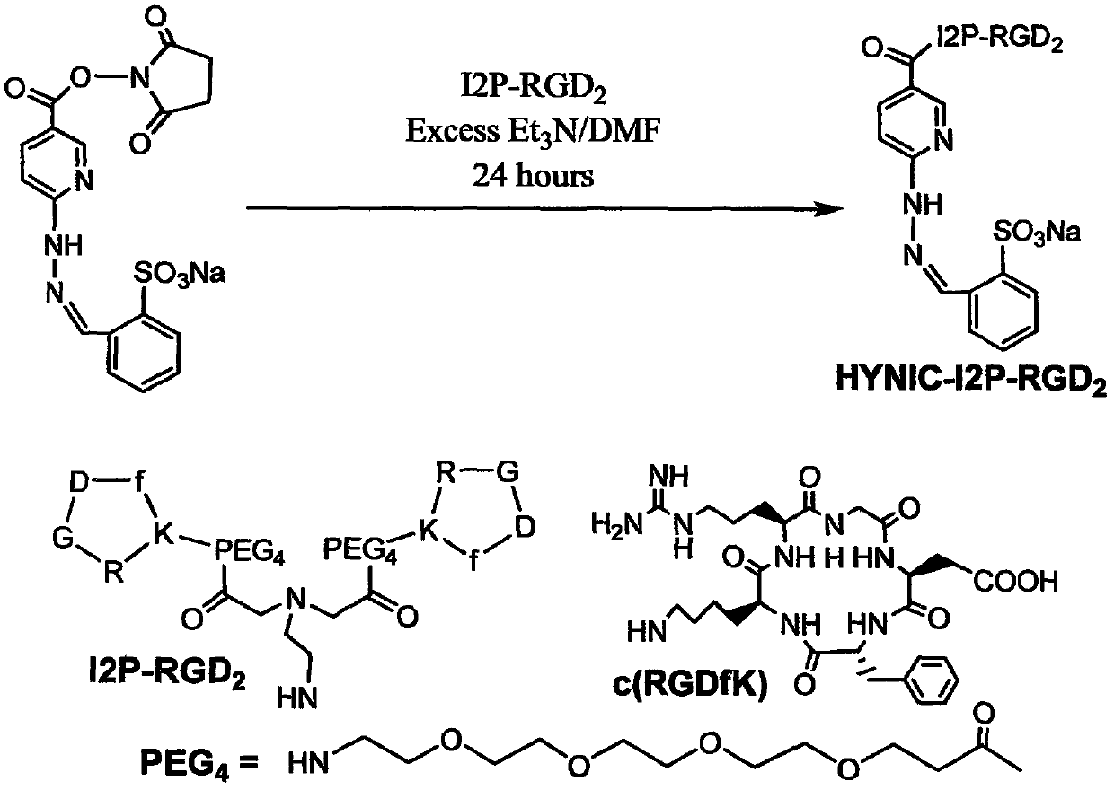 containing iminodiacetic acid  <sup>99m</sup> Tc-labeled rgd polypeptide tumor diagnostic drug and preparation method thereof