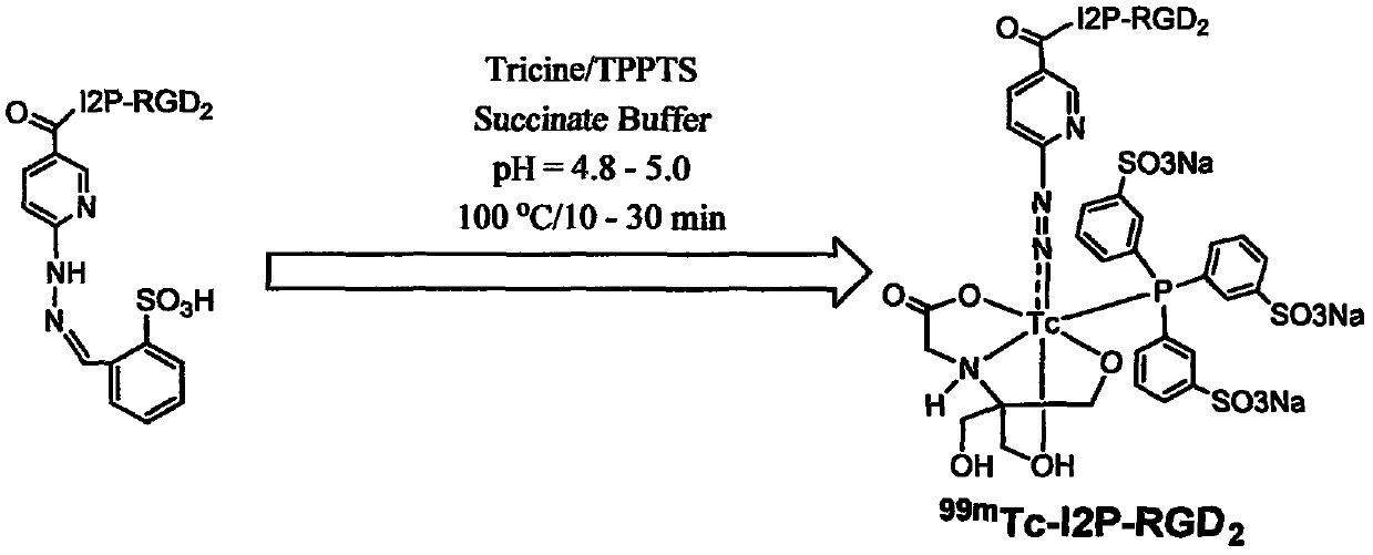 containing iminodiacetic acid  <sup>99m</sup> Tc-labeled rgd polypeptide tumor diagnostic drug and preparation method thereof