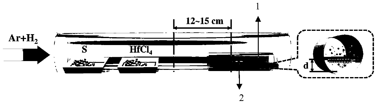 a kind of hfs  <sub>2</sub> Preparation method of single crystal nanosheet