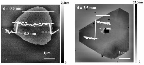 a kind of hfs  <sub>2</sub> Preparation method of single crystal nanosheet