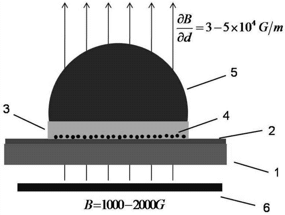 Method for packaging Ni-P substrate