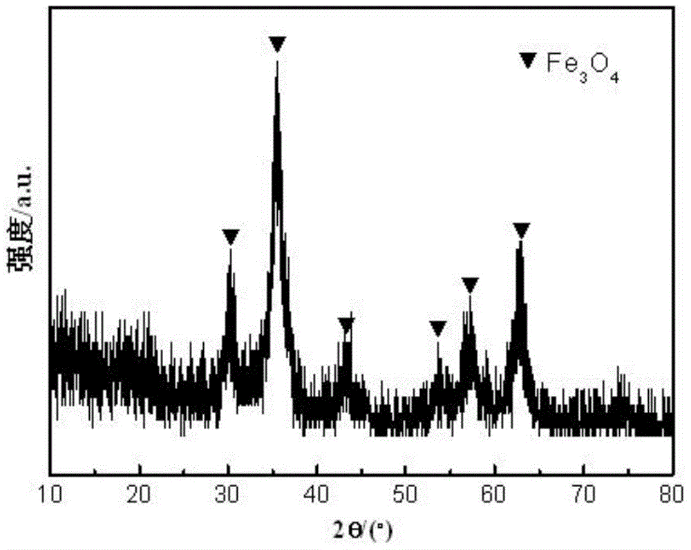 Adsorbent for removing hexavalent chromium in drinking water and its preparation method and application