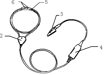 Frequency modulation anti-interference hidden earphone system